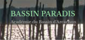 Bassin Paradis